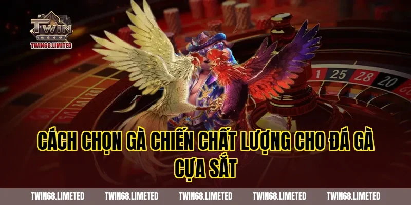 Cách chọn gà chiến chất lượng cho đá gà cựa sắt